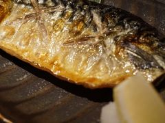 青花鱼-玄白·炭烤活鳗(上海首店)