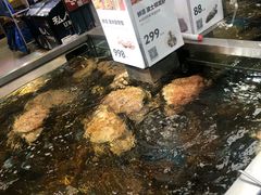 -盒马鲜生(大成店)