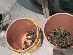 -虾胡闹龙虾馆(湄南河店)