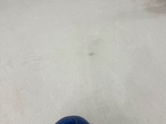 -世界之窗阿尔卑斯冰雪世界