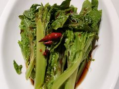 生炝莴笋尖-鸽子侯·家宴·平价海鲜(市图书馆店)