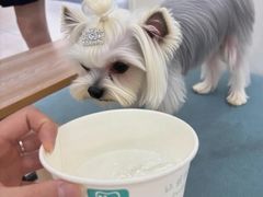 -美联众合动物医院·24h京西诊疗中心