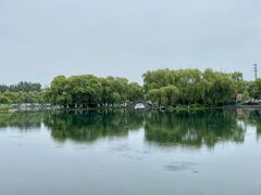 -百脉泉景区