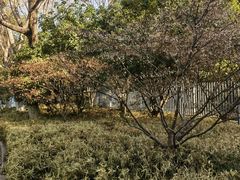 -苏州河梦清园环保主题公园