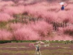 -嘉北郊野公园
