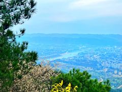-缙云山景区
