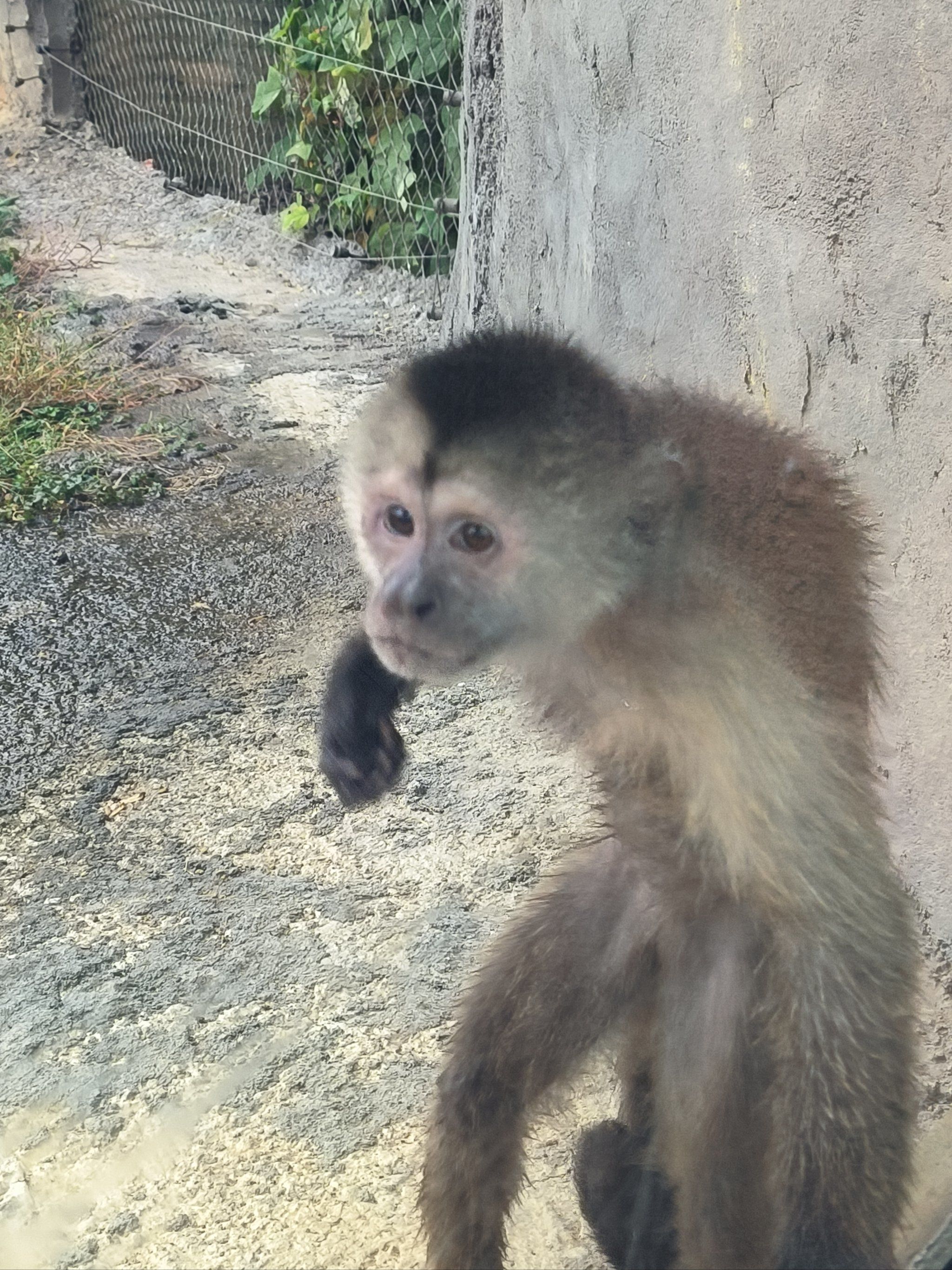 杭州野生动物世界