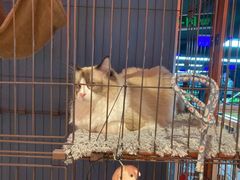 -嘉亿台球俱乐部(观前店)