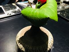 -王家渡火锅店(棕榈泉店)