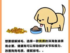 -翊宠yipet猫狗购宠庄园犬舍•猫舍