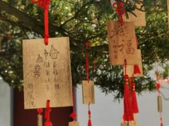 -东山雕花楼