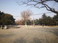 -旅顺博物馆