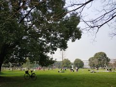 -武汉大学-樱园