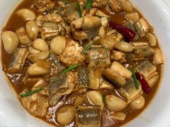 辣烧活鳗林-开海·红岛海鲜虾水饺(八大关店)