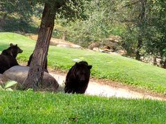 -北京野生动物园