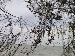 -阳澄湖半岛旅游度假区