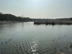-同里国家湿地公园