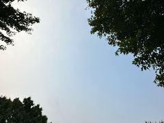 -好地方花椒鸡