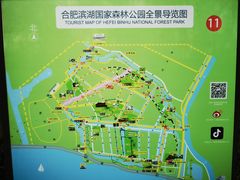 -合肥滨湖国家森林公园