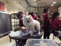 -宠物家(双井店)