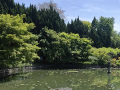 -嘉定紫藤园