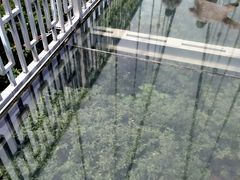 -石燕湖生态旅游景区
