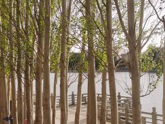 -党河风情线国家水利风景区