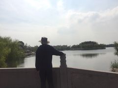 -杭州湾海上花田景区