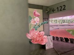 -宝安体育馆游泳馆