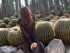 -南山植物园