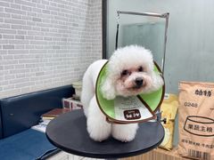 -总动员动物医院(宝丰院店)