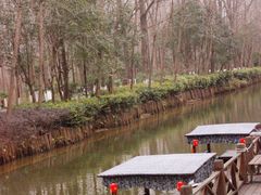 -合肥滨湖国家森林公园