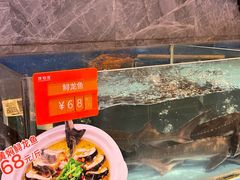 -饭怕鱼(阳光100店)