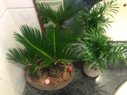 点击看大图 -本真坊美容美体沙龙