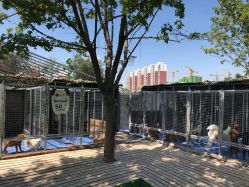 点击看大图 -萌宠亲子动物乐园(槐房万达店)