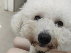 -佳雯宠物医院·皮肤科·内外科(春晓路分院)