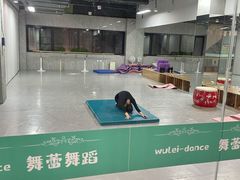 -舞蕾舞蹈(特长生校区)