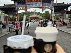 -庐山风景名胜区-东林大佛
