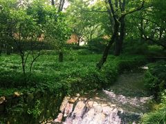 -法云安缦酒店