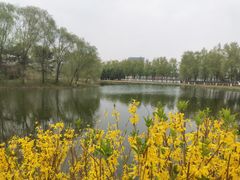 -大兴滨河森林公园