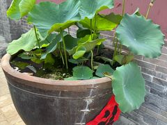 -丰台药王庙