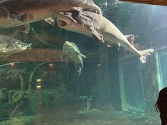 -华夏文旅海洋公园