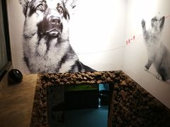 -米卢宠物公园(广华居店)