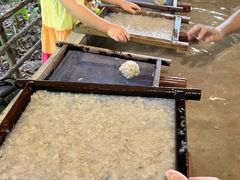 -大象粑粑造纸公园
