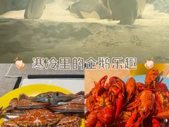 -帝企鹅自助餐厅•儿童岛•真企鹅(长隆企鹅酒店)