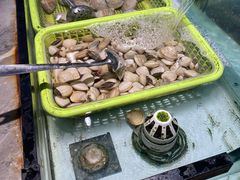 -海吃海喝海鲜烤肉餐厅
