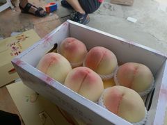 -老袁家蜜桃农场·阳山水蜜桃