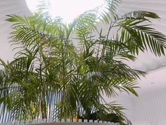 -LANN I 蘭 SPA(陆家嘴中心店)