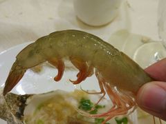 -新海利海鲜城·41年珠海老字号(夏湾店)