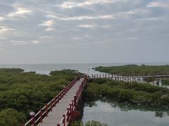 -北海金海湾红树林生态旅游区